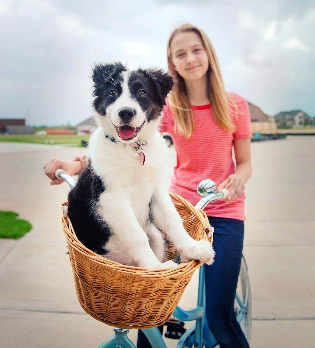 Jazzy Cooper Fostersさんのインスタグラム写真 - (Jazzy Cooper FostersInstagram)「My 13-year-old two-legged daughter and Phoebe at 11 weeks. They are growing up too fast! 😭🥰 . We don’t really take PB for a ride like this. 😉」5月26日 7時43分 - bordernerd