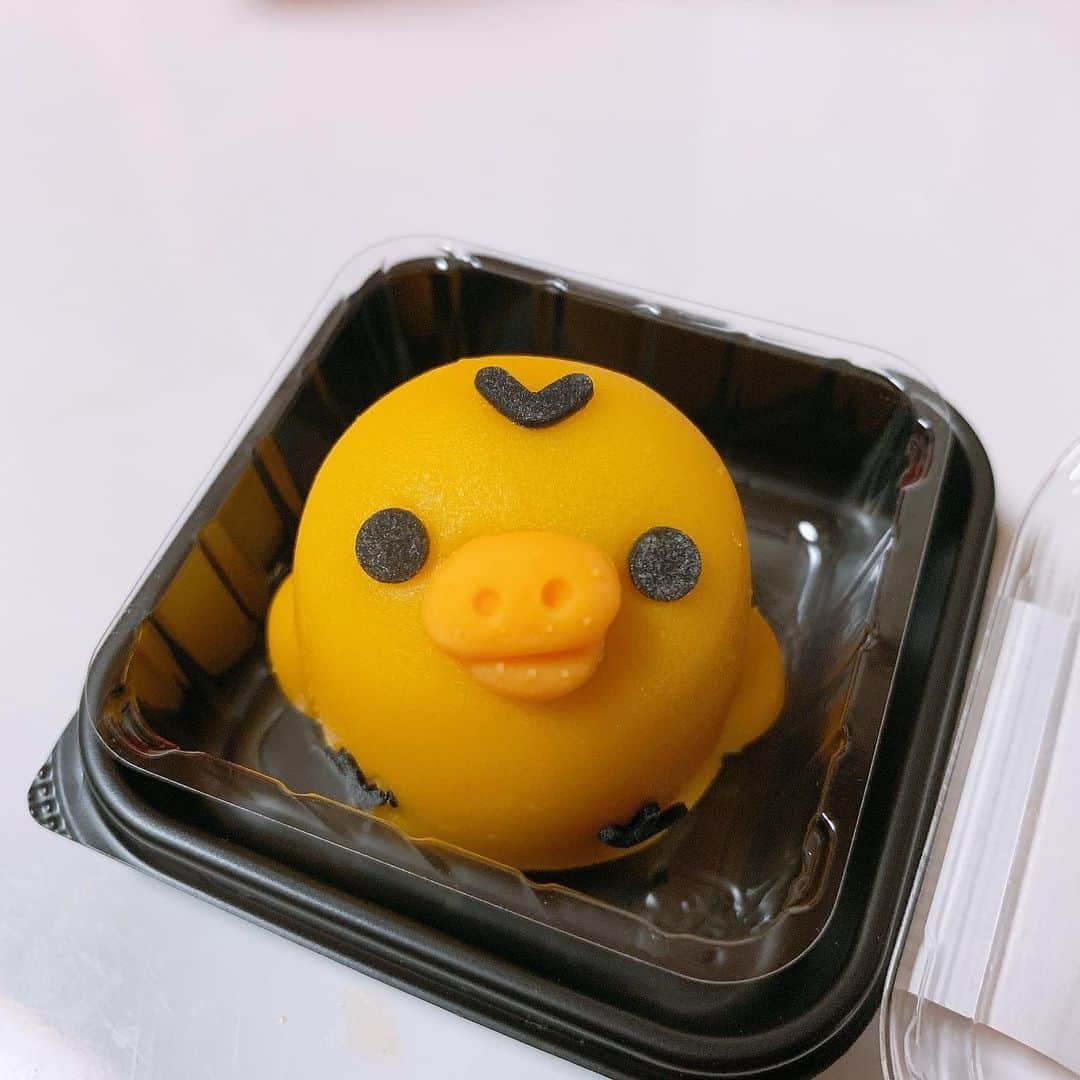 のインスタグラム：「. すんごい すんごい見つめられてる。。 可愛い。。。 . ちっこい 二本指に乗っちゃうくらいちっこい。。 可愛い。。。」