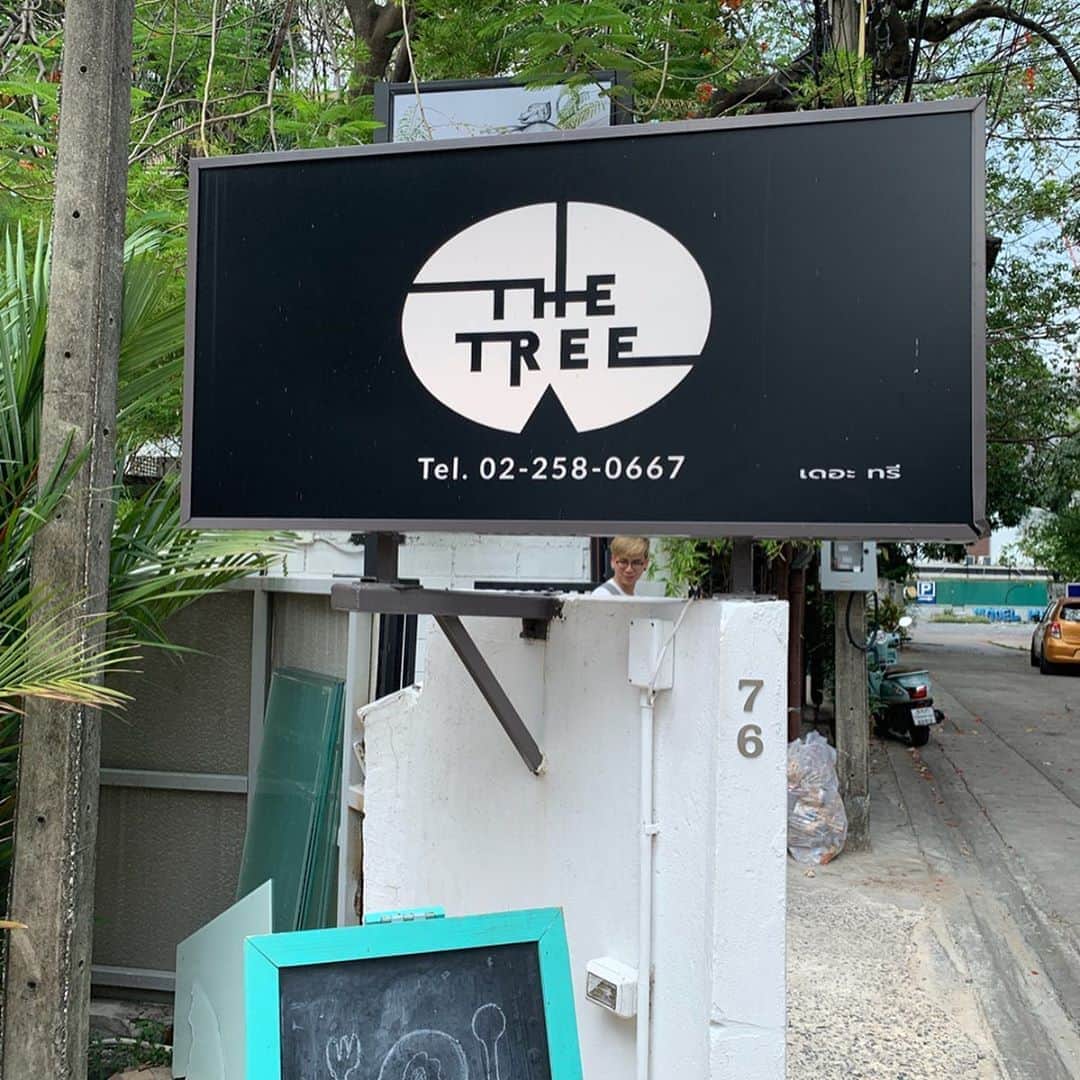 戸田さと美さんのインスタグラム写真 - (戸田さと美Instagram)「【THE TREE】 @thetreethonglor 📍sukhumvit49  室内に大きな木が生える一軒家カフェ「THE TREE」で1人読書の休日を過ごしてます。  以前、流行ったお店らしいのですが、バンコクのブームは早い。 全く人がいなくて、穴場です。  二階には電源もあるし、FREEwi-fiだし、かなりの頻度でお邪魔しそうな予感❣️ 冷房が弱くて扇風機があるのも嬉しい。 小上がり席のクッションが気持ちよすぎて動けません。 お子様連れでも大丈夫だと思います。  ただし、木の近くは少し隙間があるので、年少のお子さんは目を離さないようにしてくださいね。  オリジナルオムライスも凄く美味しかった(˵ ˃̶̀ε ˂̶́ ˵)ෆ⃛  また来ようっと💗  息子くんは、自習室で漢字検定に、向け勉強中。 ごめんね、たまにはママものんびりしたいんだ(笑  バンコクおススメカフェでした☕️ . . . #バンコク #bangkok #バンコク生活 #バンコクライフ #バンコクグルメ #バンコクカフェ #バンコク暮らし #バンコク子育て  #cafe #カフェ #ママ#ママライフ #海外移住 #海外移住シングルマザー #シングルマザー#シングルマザーの子育て #タイ在住#タイ駐在 #バンコク旅行 #バンコクカフェ #バンコクカフェ巡り #バンコク駐在妻 #バンコク駐妻 #バンコクカフェ部 #カフェ好きな人と繋がりたい」5月26日 17時48分 - satomitoda