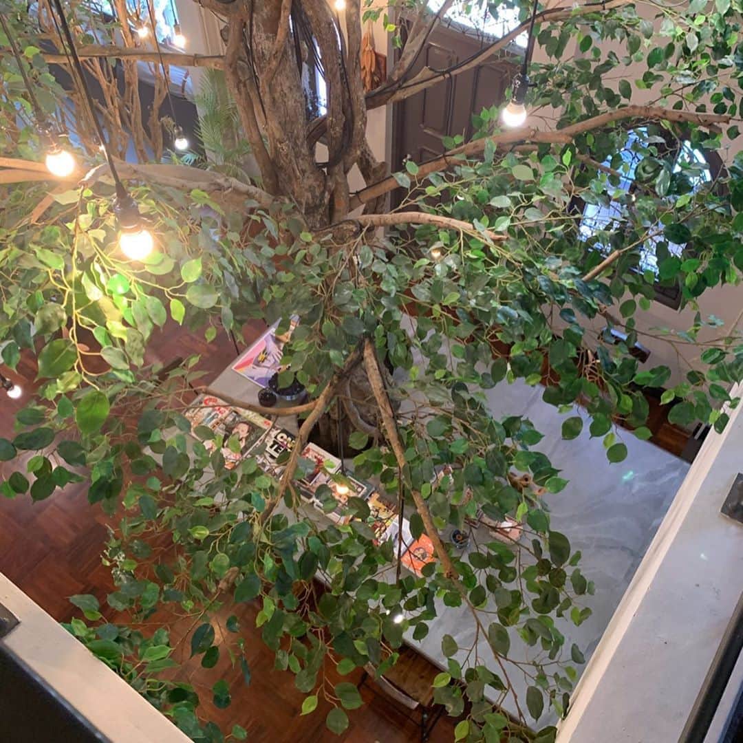 戸田さと美さんのインスタグラム写真 - (戸田さと美Instagram)「【THE TREE】 @thetreethonglor 📍sukhumvit49  室内に大きな木が生える一軒家カフェ「THE TREE」で1人読書の休日を過ごしてます。  以前、流行ったお店らしいのですが、バンコクのブームは早い。 全く人がいなくて、穴場です。  二階には電源もあるし、FREEwi-fiだし、かなりの頻度でお邪魔しそうな予感❣️ 冷房が弱くて扇風機があるのも嬉しい。 小上がり席のクッションが気持ちよすぎて動けません。 お子様連れでも大丈夫だと思います。  ただし、木の近くは少し隙間があるので、年少のお子さんは目を離さないようにしてくださいね。  オリジナルオムライスも凄く美味しかった(˵ ˃̶̀ε ˂̶́ ˵)ෆ⃛  また来ようっと💗  息子くんは、自習室で漢字検定に、向け勉強中。 ごめんね、たまにはママものんびりしたいんだ(笑  バンコクおススメカフェでした☕️ . . . #バンコク #bangkok #バンコク生活 #バンコクライフ #バンコクグルメ #バンコクカフェ #バンコク暮らし #バンコク子育て  #cafe #カフェ #ママ#ママライフ #海外移住 #海外移住シングルマザー #シングルマザー#シングルマザーの子育て #タイ在住#タイ駐在 #バンコク旅行 #バンコクカフェ #バンコクカフェ巡り #バンコク駐在妻 #バンコク駐妻 #バンコクカフェ部 #カフェ好きな人と繋がりたい」5月26日 17時48分 - satomitoda