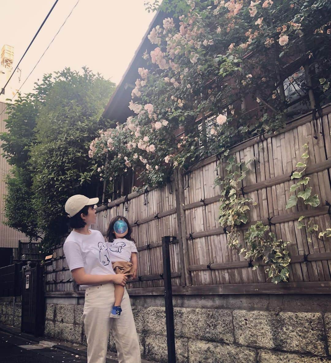 犬山紙子さんのインスタグラム写真 - (犬山紙子Instagram)「友人が教えてくれた薔薇 #いぬチャゲ」5月26日 18時07分 - inuyamakamiko