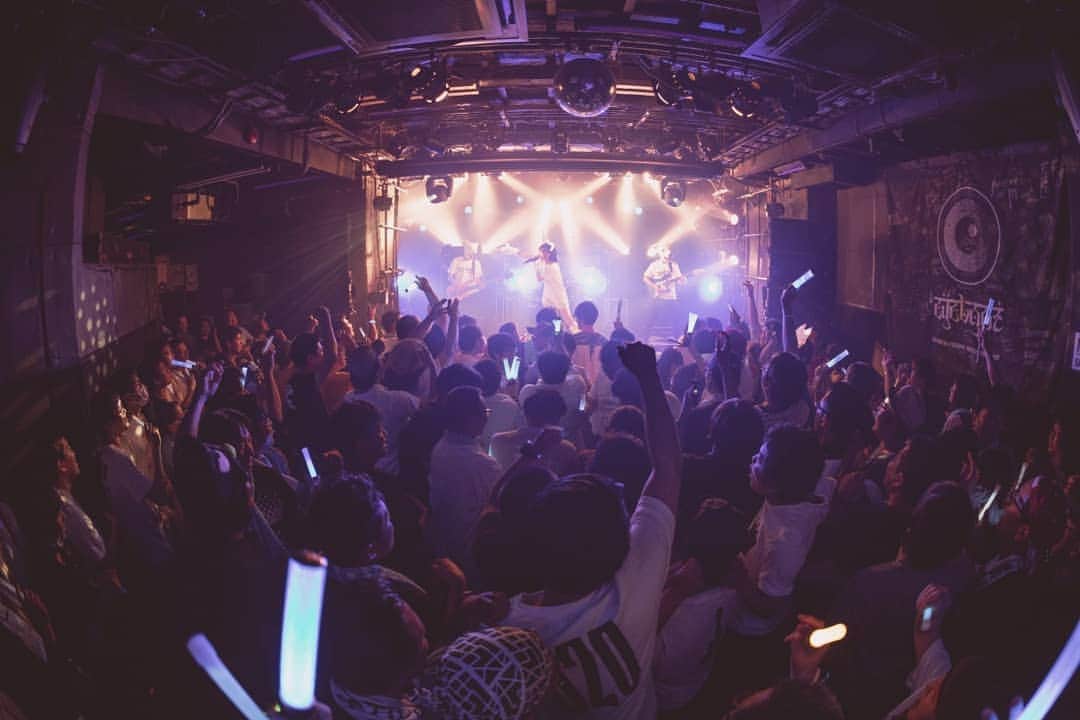 空野青空さんのインスタグラム写真 - (空野青空Instagram)「2019.5.25 in 渋谷サイクロン one-man live ❣️PERFECTIBILITY❣️ . . 無事終了しました〜ﾟ+｡:.ﾟ(*ﾟωﾟ*)ﾟ.:｡+ﾟあっという間だった！！終始楽しすぎてアドレナリン3倍って感じでしたーーーっ(◜௰◝)みんなほんとにありがたき🙏🙏🙏 . . これからもよろしくお願いしますヽ(*´∀`*)ﾉ🌸 . . photo by @axtxsx . . #青い猫と白い熊 #ワンマンライブ #onemanlive #toomidol #ワンマン #優勝 #ありがたき #渋谷サイクロン #shibuyacyclone #バンド #バンドセット #白熊 #あおにゃん #空野青空 #aonyan #ソロアイドル #単独戦闘型アイドル #Japaneseidol」5月26日 18時31分 - ao__sky