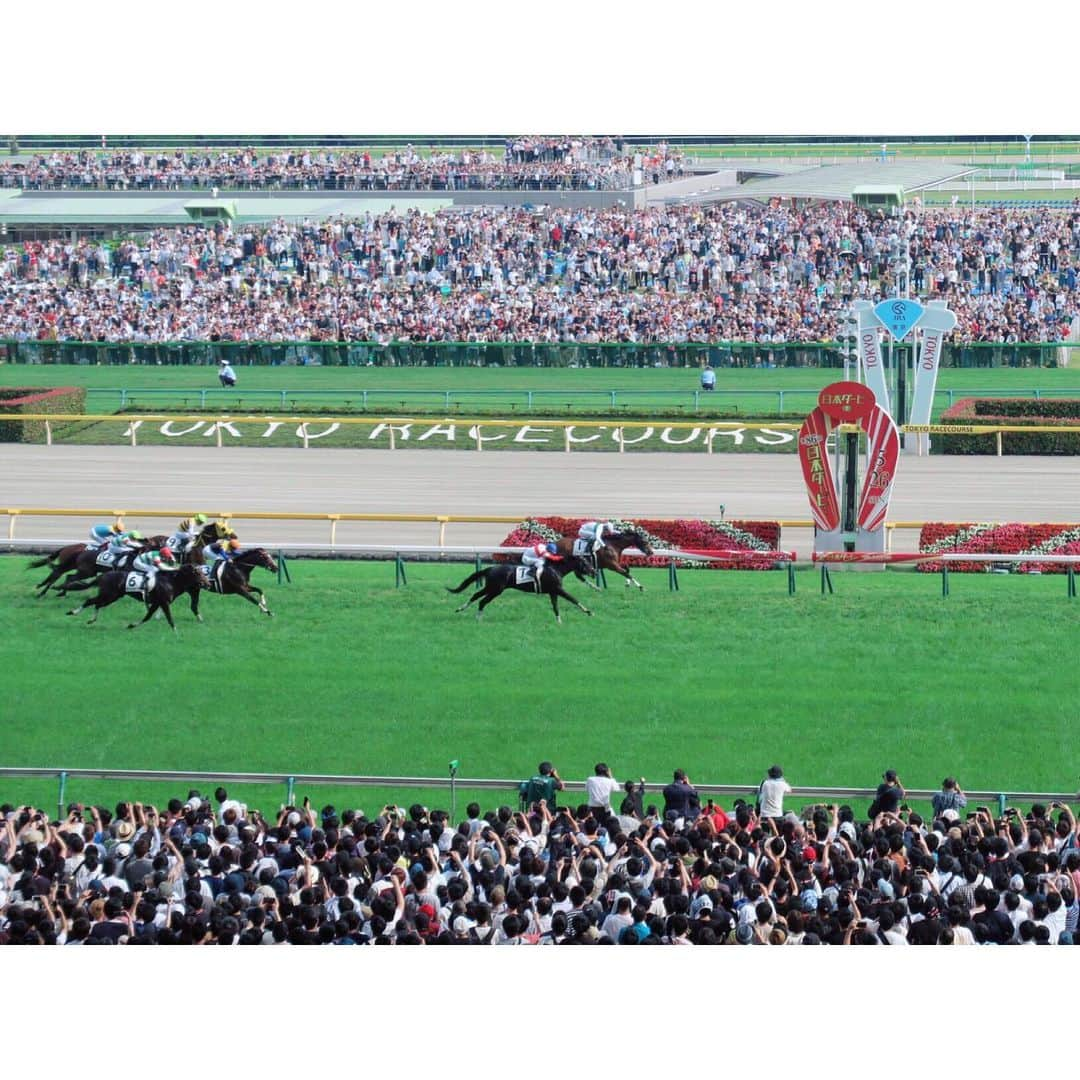 津田麻莉奈さんのインスタグラム写真 - (津田麻莉奈Instagram)「第86回日本ダービー🏇✨ 勝ったのは1枠1番に入ったロジャーバローズでした‼️ 関係者の皆さま、そしてダービージョッキーとなった浜中俊騎手、本当におめでとうございます😊🎉 ⁑ ダービーデーの東京競馬場で、 こうやってお仕事をさせていただけること✨ そして、ドラマチックなレースを目の前で見られることに心から感謝しております🙏✨ ⁑ 来週の安田記念も楽しみだ😎💕 ⁑ #東京競馬場 #derby  #tokyoracecourse  #東京優駿 #ダービー #日本ダービー  #ロジャーバローズ #浜中俊騎手  #おめでとうございます #umajo #競馬 #競馬好き #津田麻莉奈 #まりなる」5月26日 18時32分 - tsudamarinal