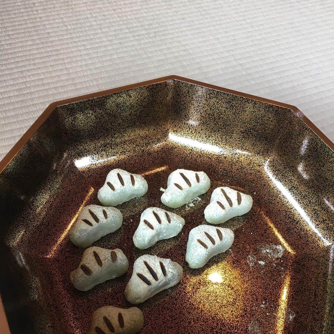 沢瀉美緒さんのインスタグラム写真 - (沢瀉美緒Instagram)「※ Special menu for exclusive  tea ceremony 🎏 . 今回は令和はじめのお茶会で 端午の節句にちなんだ それはそれはおめでたいお席でした✨ . お道具も葵祭に因んだものだったりと 楽しませてもらいました💛 . . #嵐山吉兆 #嵐山 #arashiyama #kyoto #京都 #茶会 #teaceremony #ミオログ #ミシュラン #michelinstar」5月26日 18時38分 - mio_omodaka