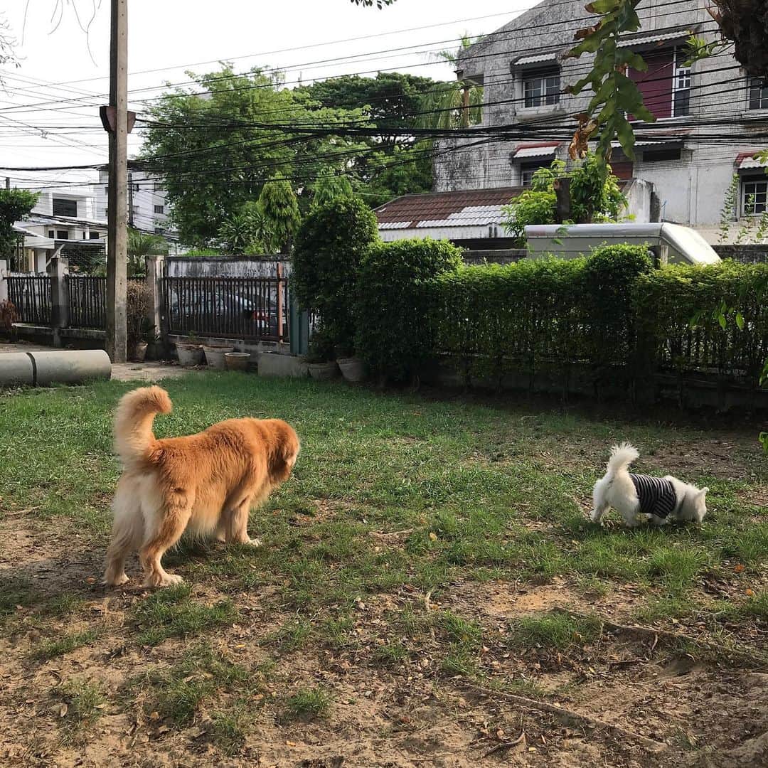 Hoykong&Plamuekのインスタグラム：「Sunday」