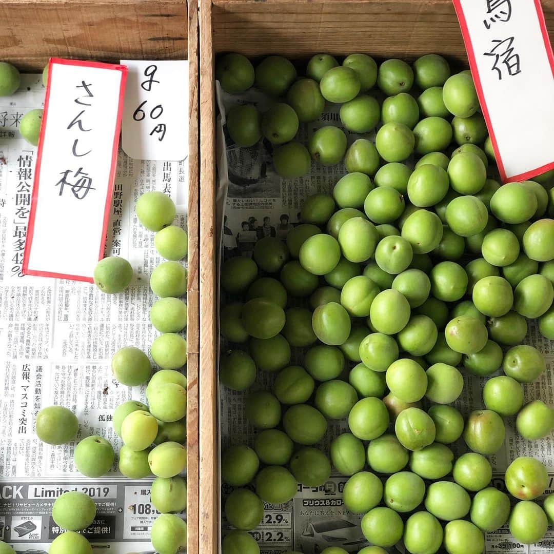 masakiさんのインスタグラム写真 - (masakiInstagram)「Sun.26 May.2019 はれ 久しぶりの高知 朝から芋天食べて、冷やしあめ飲みーの柚子ジュース飲みーの、帽子パンかじってあれこれ試食して お腹ちゃぽちゃぽw あー、日曜市たのしい♡  #服かぶった」5月26日 18時48分 - mogurapicassowols