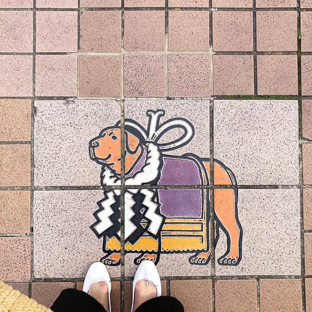 masakiさんのインスタグラム写真 - (masakiInstagram)「Sun.26 May.2019 はれ 久しぶりの高知 朝から芋天食べて、冷やしあめ飲みーの柚子ジュース飲みーの、帽子パンかじってあれこれ試食して お腹ちゃぽちゃぽw あー、日曜市たのしい♡  #服かぶった」5月26日 18時48分 - mogurapicassowols