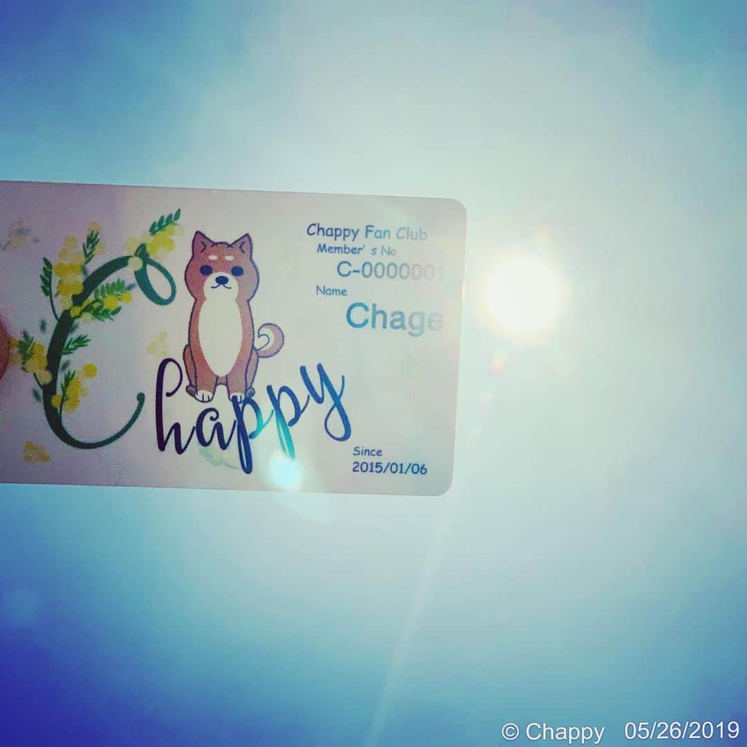Chageさんのインスタグラム写真 - (ChageInstagram)「まだまだ春うららを楽しみたいのだが、そうはいかないみたい。もう木陰から木陰へ小走りで移動したでござる、、、忍者かっ！  #chagekimi #暑いね  #分かる人には分かるカード  #ありがとうれしい #クリ部  #chappy」5月26日 10時20分 - chageshu06