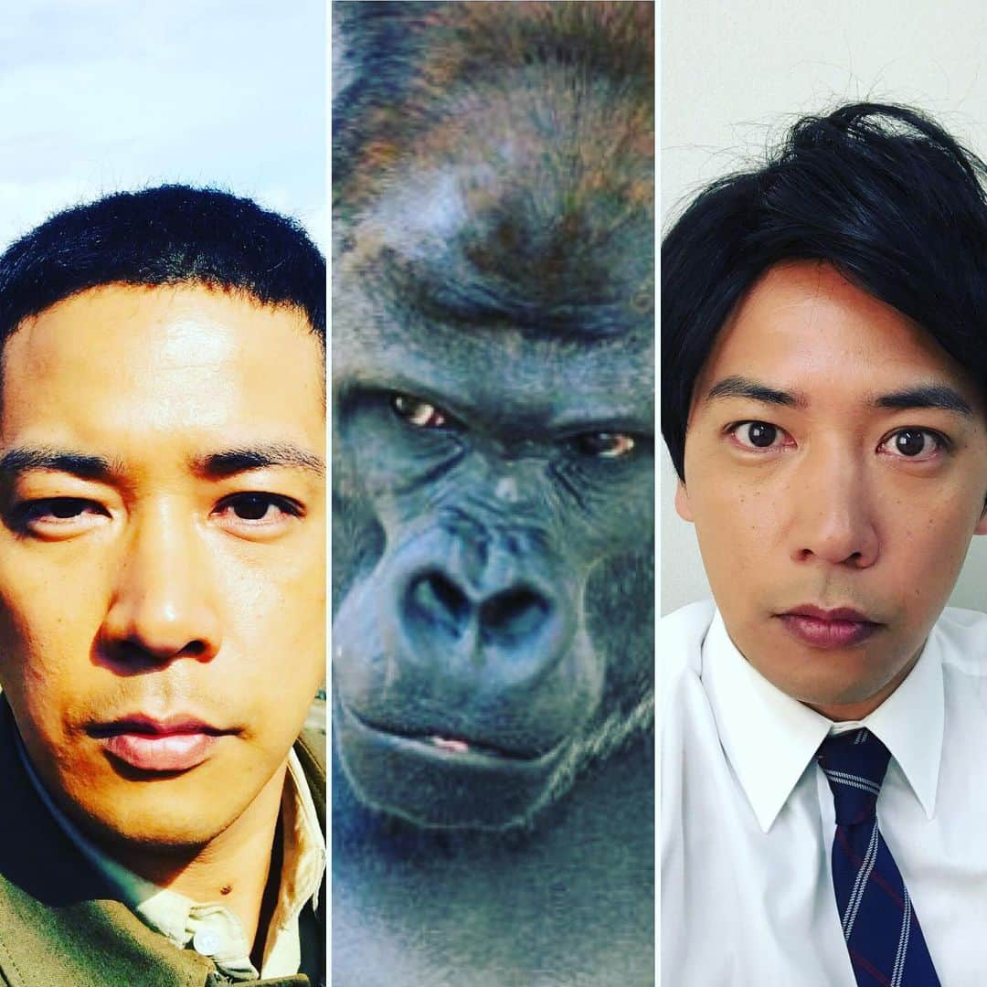 佐藤祐基さんのインスタグラム写真 - (佐藤祐基Instagram)「これを行き来してました笑 世界観が…世界観が！ 写真1日しか違わないのよ？ 根来公一、ゴリラ、加賀美新。  #やすらぎの刻道 #ゴリラ #仮面ライダージオウ #ん #間に何か #ガタック #加賀美新 #根来公一 #magic」5月26日 10時58分 - sa_too222