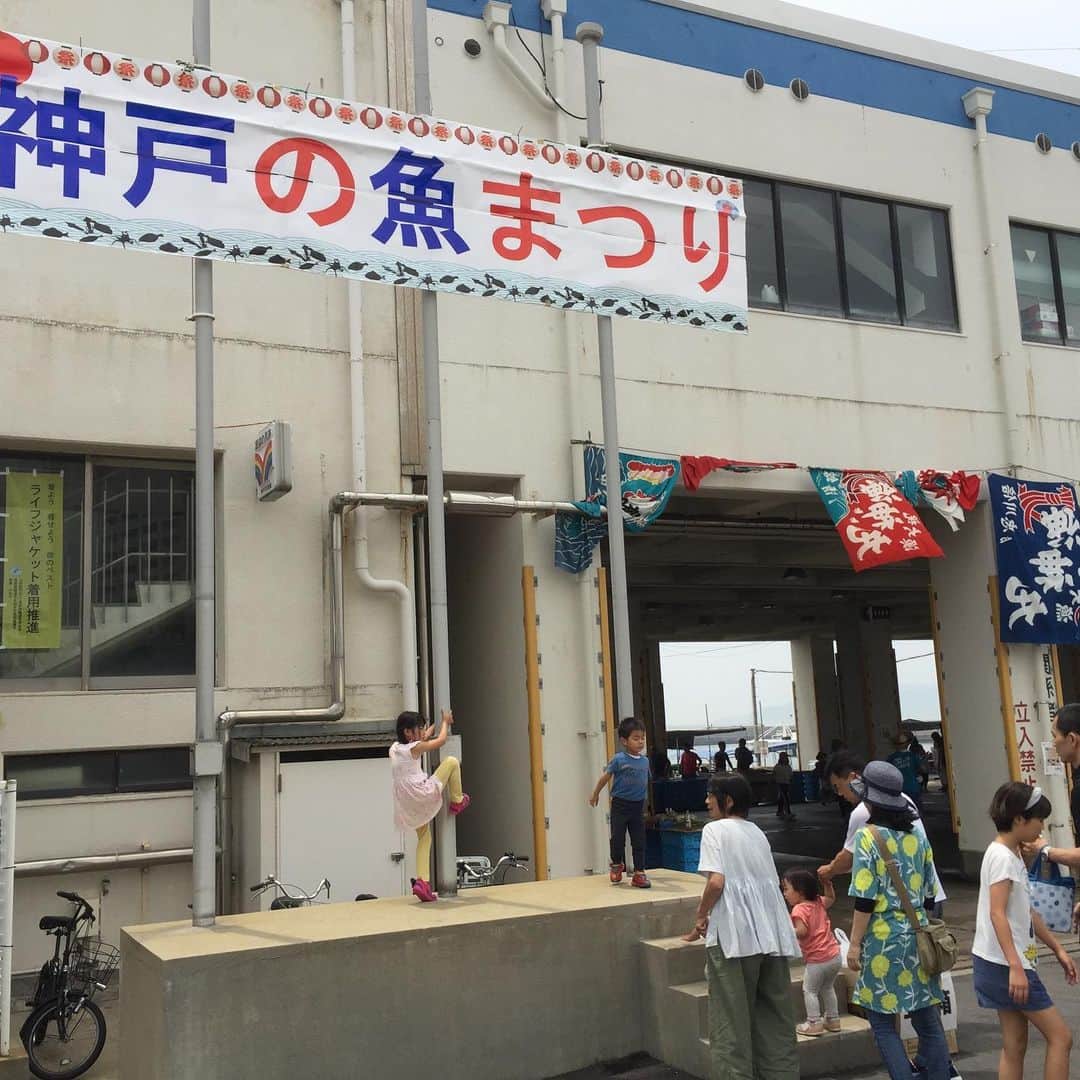 松宮宏さんのインスタグラム写真 - (松宮宏Instagram)「魚まつり」5月26日 11時35分 - hmatsumiya