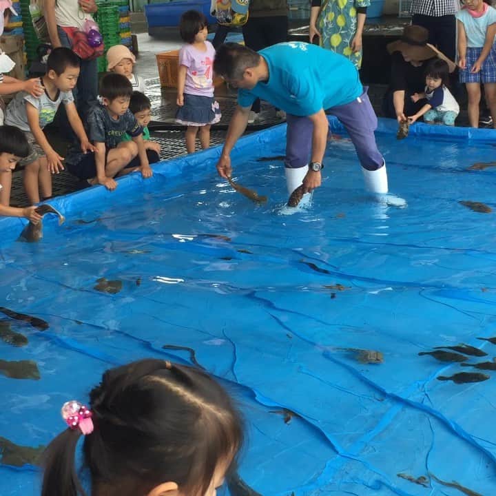 松宮宏のインスタグラム：「魚まつり」