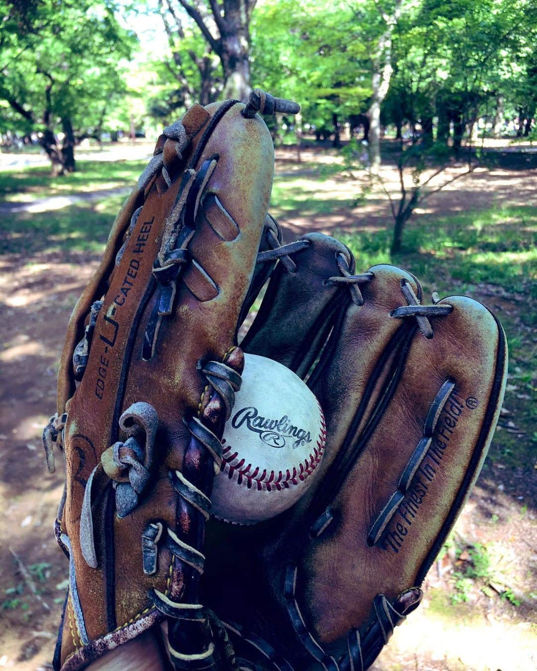 片桐千晶さんのインスタグラム写真 - (片桐千晶Instagram)「‪⁑ 夏みたいな日差しの中、久しぶりのキャッチボール☀️ 子供の頃夕暮れの野球場で父と兄とよくやってました🌇 懐かしいなぁー。意外と身体が覚えててくれて嬉しい。 . 当時のバッティング練習がのちにテニスに生きることになるという。 今日は肩が筋肉痛だ🤣いてて。 . #キャッチボール #会話しながらのキャッチボールって漫画みたいで楽しい #夏だ」5月26日 11時50分 - chiaki.katagiri333