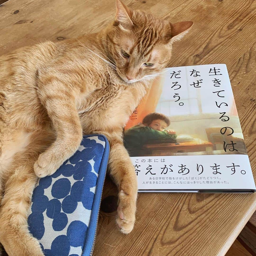 石田ゆり子さんのインスタグラム写真 - (石田ゆり子Instagram)「生きてるのはなぜだろう を おかーさんに読んでもらった。 ぼくにはこの本のいってることがすこしわかる。 ぼくも、たびちゃんも ささみも、おやつも おかーさんも おなじひとつぶひとつぶ、ってことだ。 なんども読んでもらって こころにきざみつけたいと おもった。 #ハニオ図書館 #生きているのはなぜだろう  読んだ後、宇宙のなかに ぽん、と放り投げられたような孤独と そして同時に どんな人もどんなものたちも この大きな 止められない流れの中に 生きているということを ゾワゾワと感じました。 「生きている」ということを 自然科学の法則から答えを出そうとした本です。 池谷裕二さん 田島光二さん すばらしいです。 何度も何度も、読みたい本です。」5月26日 11時50分 - yuriyuri1003