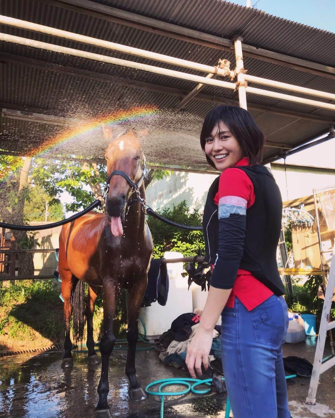 秋吉織栄（宮内かれん）さんのインスタグラム写真 - (秋吉織栄（宮内かれん）Instagram)「虹🌈🌈と🐴さん(姫)💕💕 連日の夏日ですね☀️ 5月でこの暑さ💦 ちょっと不安にもなるけれど😅💦 初めて乗る姫ちゃんと経路をやりました🏇💦 姫ちゃんは走りたがり屋さん🐴♪ 速いです！いつものノルちゃんより背が高いです😳(脚が長い)  色々な🐴さんに慣れて、どんな子に乗るとしてもちゃんとコミュニケーションがとれるようになるのが目標です❣️ 暑過ぎて☀️ 喉カラカラです（笑）  4級から3級は求められ技術が一気に変わるんだなぁ。と、実感。  すごく良い練習ができました✨💪 自分の弱点がよくわかりました😳‼︎ 難しいけど、すごく楽しい。  そしてかわいいお馬さん😍❤️ 癒されます☺️❣️❣️ HND先生に撮ってもらった動画はまたあげます♪♪ オーディションに行ってきます‼︎ 姫ちゃん🐴❤️に力もらったから✨✨百万馬力💪💪💪💪💪❣️❣️❣️ 自分にピッタリハマるものに、巡り会えたらいいなぁ😊✨✨✨ そして☀️ チケット予約開始されましたー✨  舞台『シェイリ　шерри』  カンフェティ予約URLをプロフィール欄に貼ってあります♪ プレミアム席予約はカンフェティです😊 ●カンフェティ http://www.confetti-web.com/sheiri ●こりっち http://ticket.corich.jp/apply/100100/ori/  よろしくお願いします✨ 行ってきます❣️❣️ PS:よーく腕を見ると👀 テープで巻いてます（笑） アームカバーがゆるゆるで縛るものがなく… 仕方なく😅はは。  #乗馬  #経路  #馬  #horseriding  #horse  #虹  #丸洗い」5月26日 12時10分 - orie.oliiiiie.olivia