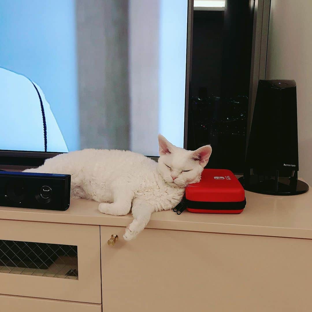 サニー のインスタグラム：「목침 베고 주무시는 으르신ㅋㅋㅋㅋㅋㅋ 찜질방인줄ㅋㅋㅋㅋㅋㅋ #소금 #으르신」