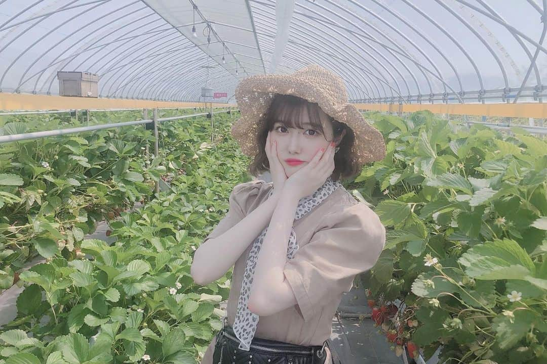 きぬさんのインスタグラム写真 - (きぬInstagram)「🍓🍓とどろきぬといちご狩りの旅」5月26日 12時47分 - 2_5_2555