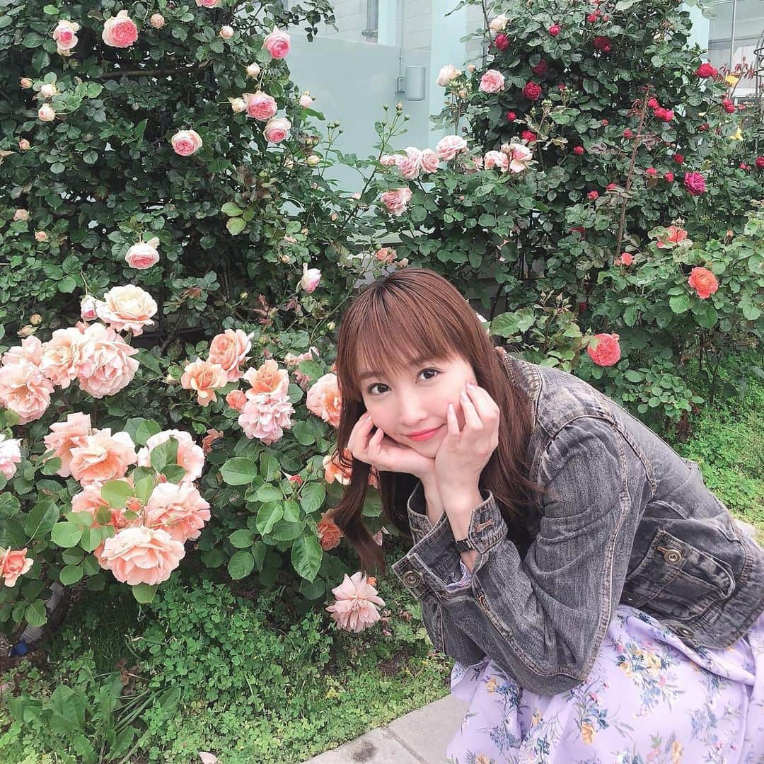 長久梨那さんのインスタグラム写真 - (長久梨那Instagram)「． バラが綺麗に咲いてたよ🌹 来月はラベンダー観に行く予定💗 #バラ #薔薇 #バラ肉 #大塚 #大塚バラまつり #2019 #今日まで #インスタ映え #インスタ映えスポット #女優 #役者 #アナウンサー #リポーター #フォローミー #japan #girl #japanesegirl #flower #beauty #beautiful #instagood #instadaily #actress #actor #announcer #reporter #followme #🌹 #❤️」5月26日 13時01分 - rinanagahisa