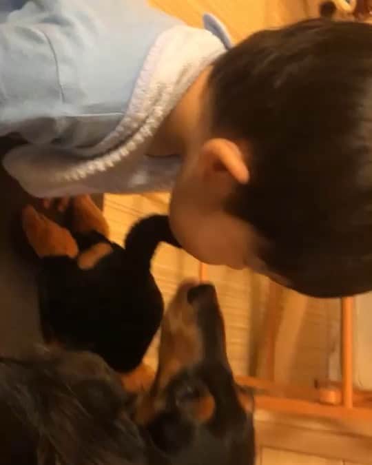 すしらーめん《りく》のインスタグラム：「『癒し100%』 #ちっちゃい者族 #brother #kiss」