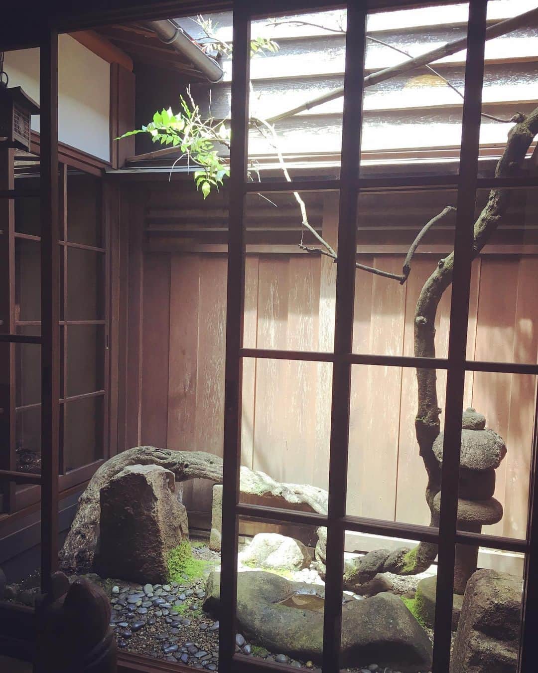 TOKUさんのインスタグラム写真 - (TOKUInstagram)「What a beautiful spot and great food ! Love this little garden from this place which is 150 years old.  #hidatakayama #hisadaya #soba #hidabeef #chillingout #蕎麦 #飛騨牛」5月26日 12時54分 - tokujazz