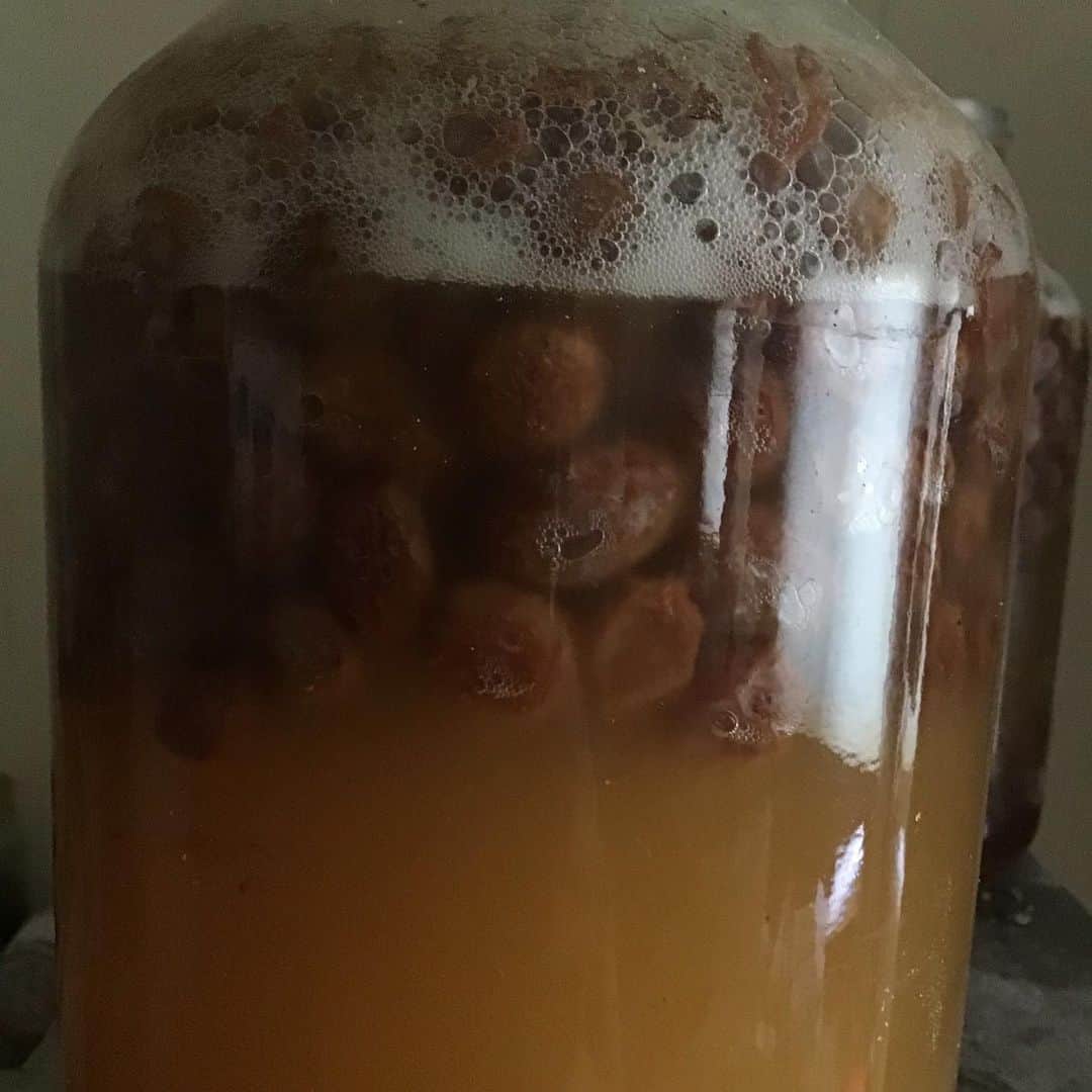 魔女菅原のグルメインスタ