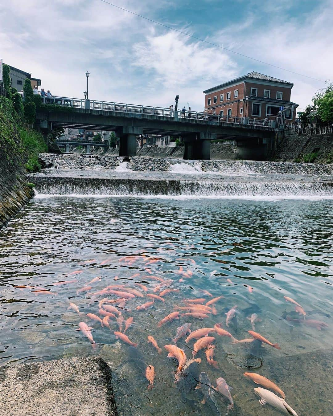 川辺ヒロシさんのインスタグラム写真 - (川辺ヒロシInstagram)「飛騨高山は街も素敵で次回はゆっくり滞在したい。朝市のお婆さまがやってる珈琲スタンドの佇まいの素敵さにやられました」5月26日 13時33分 - firoshi1