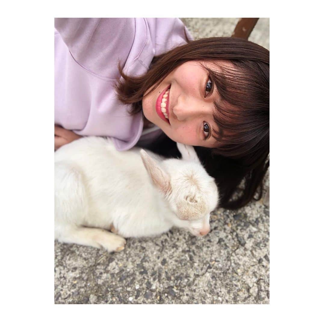 白戸ゆめのさんのインスタグラム写真 - (白戸ゆめのInstagram)「🐐 . やぎさんと戯れたロケ👒💕 ツーショットを撮るのはなかなかに至難の業で。。。 でも、かわいすぎました🥰 . 小屋も細部まで凝っていてオシャレ！ オーナーの愛を農場全体から感じました🌿 ちらりと #オニツカタイガー をコラボさせてみた🐯笑 . 癒しの時間だったなあ 青空の下食べるパニーニも 昼からのワインもグー🍷✨ . #瀬戸内海放送 #KSB #5ch #アナウンサー #白戸ゆめの #ヒルペコ #ランチ #岡山 #香川 #青空 #農場 #やぎ #パニーノ #ワイン #最高 #ロケーション #ヤギラッテ #個人的に好き #かわいかった #癒し . 1枚目、前の投稿の幼少期の写真と おんなじような顔をしとったあ😶😶😶」5月26日 19時08分 - yumeno.s_