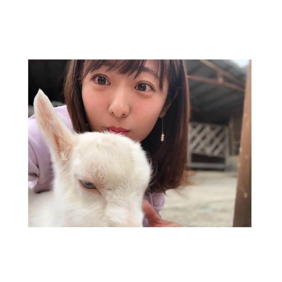 白戸ゆめのさんのインスタグラム写真 - (白戸ゆめのInstagram)「🐐 . やぎさんと戯れたロケ👒💕 ツーショットを撮るのはなかなかに至難の業で。。。 でも、かわいすぎました🥰 . 小屋も細部まで凝っていてオシャレ！ オーナーの愛を農場全体から感じました🌿 ちらりと #オニツカタイガー をコラボさせてみた🐯笑 . 癒しの時間だったなあ 青空の下食べるパニーニも 昼からのワインもグー🍷✨ . #瀬戸内海放送 #KSB #5ch #アナウンサー #白戸ゆめの #ヒルペコ #ランチ #岡山 #香川 #青空 #農場 #やぎ #パニーノ #ワイン #最高 #ロケーション #ヤギラッテ #個人的に好き #かわいかった #癒し . 1枚目、前の投稿の幼少期の写真と おんなじような顔をしとったあ😶😶😶」5月26日 19時08分 - yumeno.s_