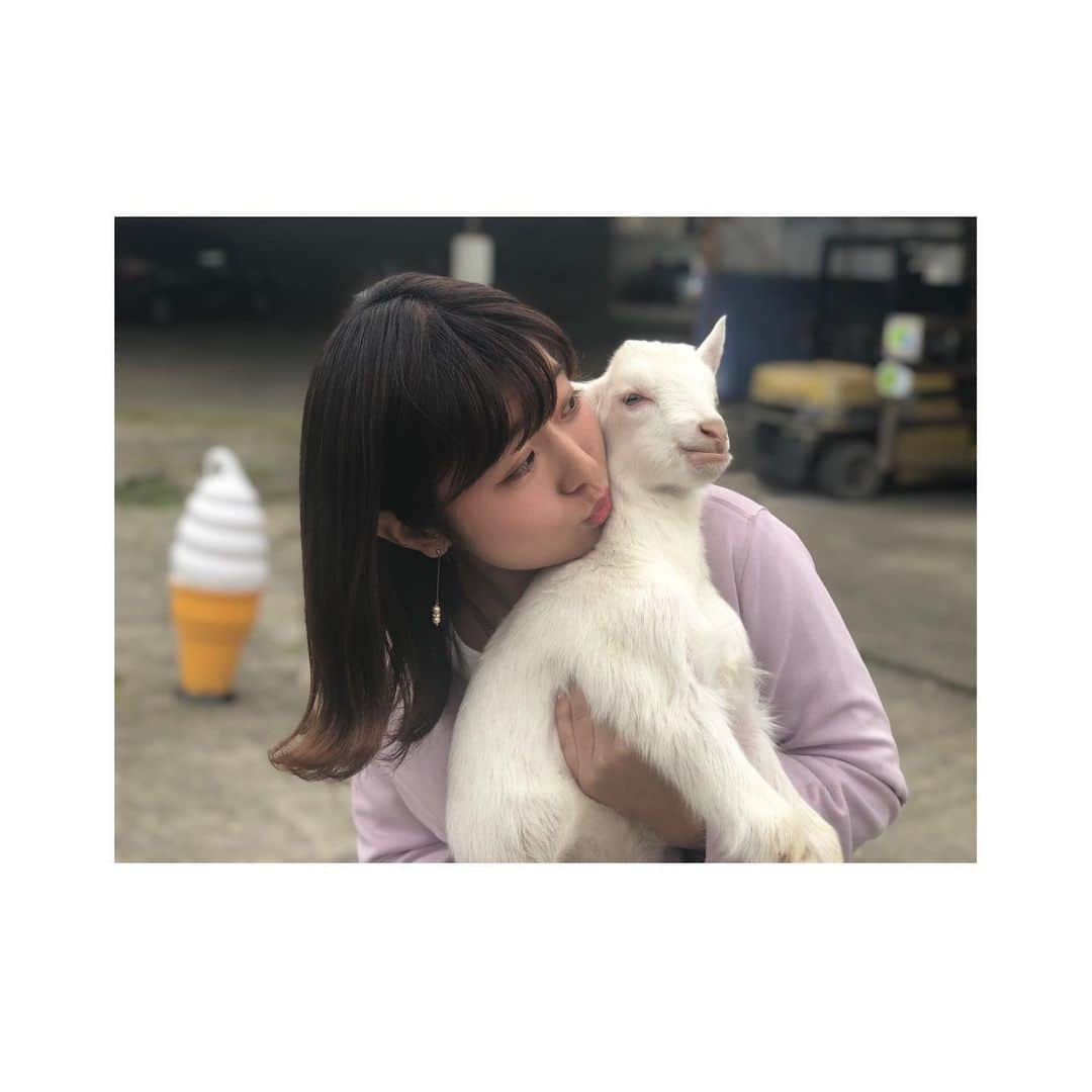 白戸ゆめのさんのインスタグラム写真 - (白戸ゆめのInstagram)「🐐 . やぎさんと戯れたロケ👒💕 ツーショットを撮るのはなかなかに至難の業で。。。 でも、かわいすぎました🥰 . 小屋も細部まで凝っていてオシャレ！ オーナーの愛を農場全体から感じました🌿 ちらりと #オニツカタイガー をコラボさせてみた🐯笑 . 癒しの時間だったなあ 青空の下食べるパニーニも 昼からのワインもグー🍷✨ . #瀬戸内海放送 #KSB #5ch #アナウンサー #白戸ゆめの #ヒルペコ #ランチ #岡山 #香川 #青空 #農場 #やぎ #パニーノ #ワイン #最高 #ロケーション #ヤギラッテ #個人的に好き #かわいかった #癒し . 1枚目、前の投稿の幼少期の写真と おんなじような顔をしとったあ😶😶😶」5月26日 19時08分 - yumeno.s_