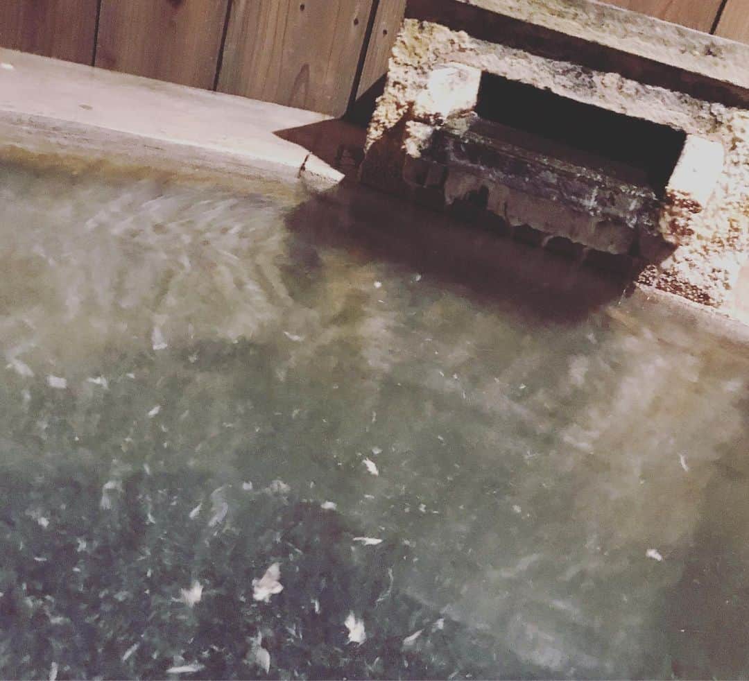 二ノ宮知子さんのインスタグラム写真 - (二ノ宮知子Instagram)「部屋露天付きの部屋で、何度もお風呂入ってビール飲んで子供にウノをやらされてました。エンドレスUNO…。 湯の花舞うお風呂。自分への誕プレ温泉。」5月26日 19時04分 - tomokoninomiyaa