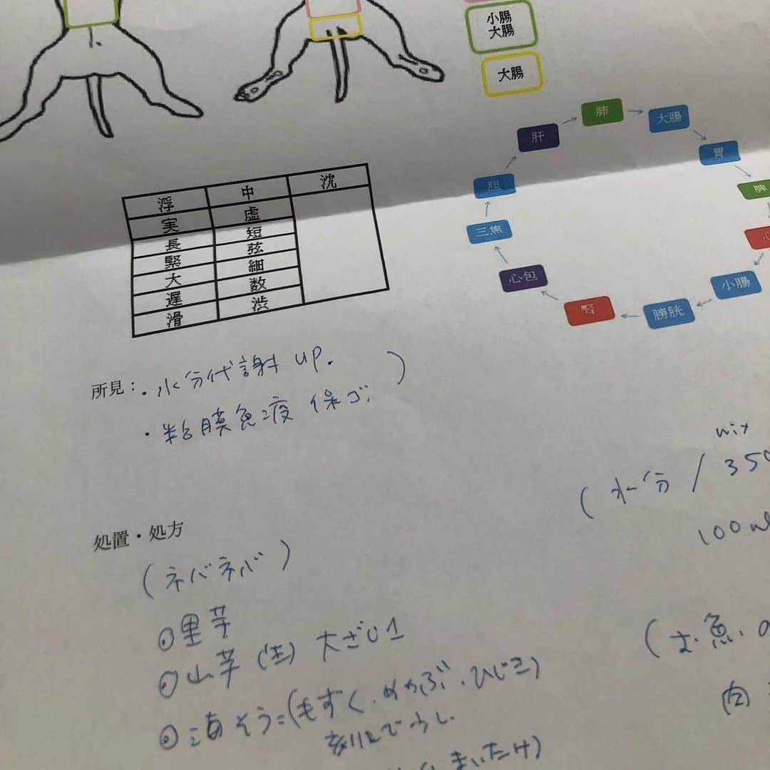 くるみさんのインスタグラム写真 - (くるみInstagram)「. 2019.5.26.  中目黒で開催の「大人のフリマ」で パザパの俵森さんの犬のごはんカウンセリング に参加してきました☺️ ほんとはドナさんも一緒に 伺いたかったのですが、あまりの暑さに断念😞  とっても勉強になりました！ また機会があればぜひドナさんも 連れて参加させてもらいたいです😆  8歳になったドナさん これからも元気でいてもらえるよう 引き続き教科書読んで勉強します！  俵森さんありがとうございました😆  @pas_a_pas_inuneco . . #犬ごはんの教科書 #俵森朋子  #病気になりにくい身体づくり  #誠文堂新光社  #ねりねりとひしょさん #勧めてくりてありがとう #フリマでエコバッグ購入」5月26日 13時50分 - kurukurukurumi222