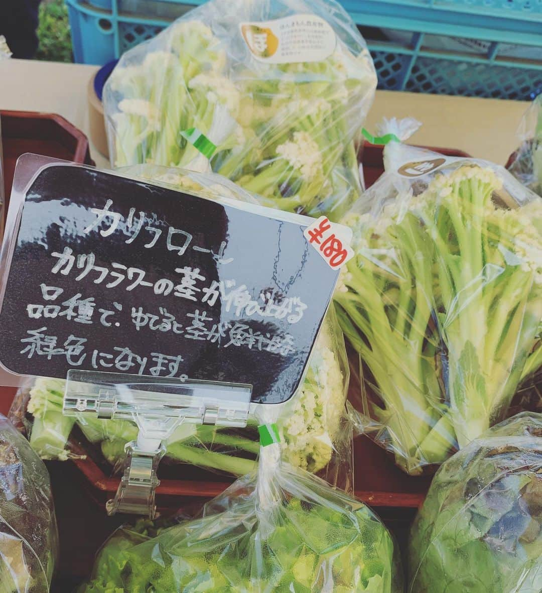 齊藤美絵さんのインスタグラム写真 - (齊藤美絵Instagram)「臼杵のほんまもん野菜の美味しさは、 娘が証明してくれる🥕  人参をそのまま丸かじりする娘を見て、 「ここではよく見られる姿ですよー」と。さらにもう一人の女の子も同じように丸かじり！  こちらの槌本農園(つちもと)さんは、 大林千茱萸(ちぐみ)監督の「未来へつなぐ食のバトン 映画『100年ごはん』が伝える農業のいま」を読み、ドキュメンタリー映画「100年ごはん」を観て臼杵に移住し、農業を始められたご夫妻。  一冊の本、一本の映画で 人生ががらりと変わったお二人。 「野菜っておいしい！」そのシンプルな感動を野菜を食べた人に届けたい。  その想いは言葉にしなくても 子ども達には伝わるんだなぁと。 私もひとかじりさせてもらおうと思った時には一本完食していました。笑  そんな人生を変えた作品とお野菜を マナビル学園祭で。 事前お申込み受付中です🍀 (お得な学割あります。) https://www.facebook.com/events/278635729690945/?ti=ia  #大分上野マナビルプロジェクト #マナビル学園祭 #学生 #大分 #臼杵 #100年ごはん #ドキュメンタリー映画 #未来へつなぐ食のバトン #書籍 #大林千茱萸監督 #人参 #ほんまもん野菜 #丸かじり #有機野菜 #食育 #美味しい #素材 #食材 #3歳 #howtobeawesometoday #フードマエストロ #foodmaestro #ツタエルヒト。」5月26日 14時03分 - saitomie