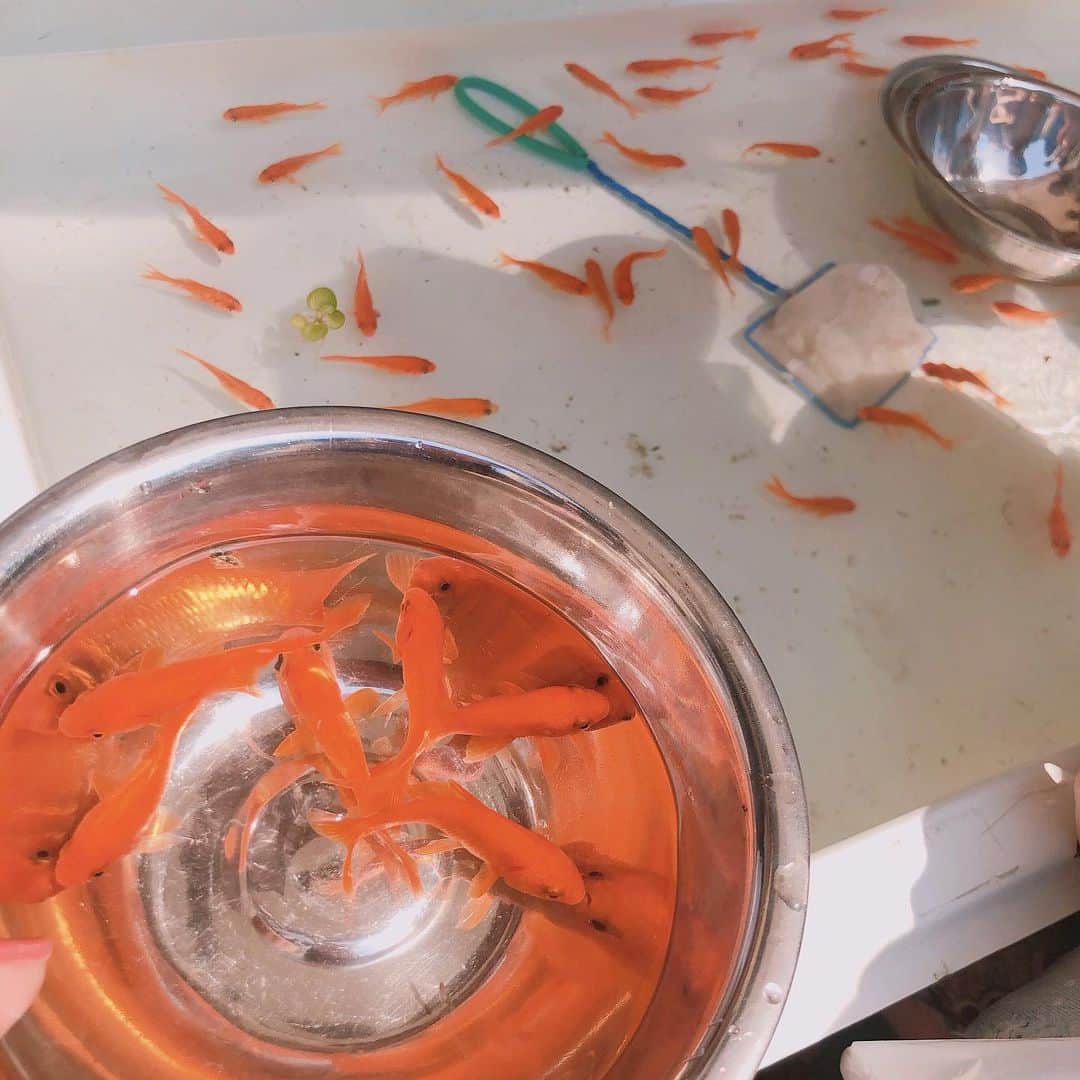 桜雪さんのインスタグラム写真 - (桜雪Instagram)「代々木八幡宮での金魚まつり。  金魚すくいとか 金魚の可愛い小物がいっぱいの手づくりの出店とか 金魚のお神輿とか  金魚がいっぱい！  金魚すくい、久しぶりにやったら６匹もすくえました！！ お家に水槽がないのでイヤリングにして連れて帰ります笑 (@nao_70x3 )さんのイヤリングどれも可愛かった…！ #代々木八幡宮 #代々木八幡 #金魚まつり #金魚すくい #金魚 #夏祭り #渋谷区  #あついね #イヤリング収集癖」5月26日 14時39分 - yuki_12hsm