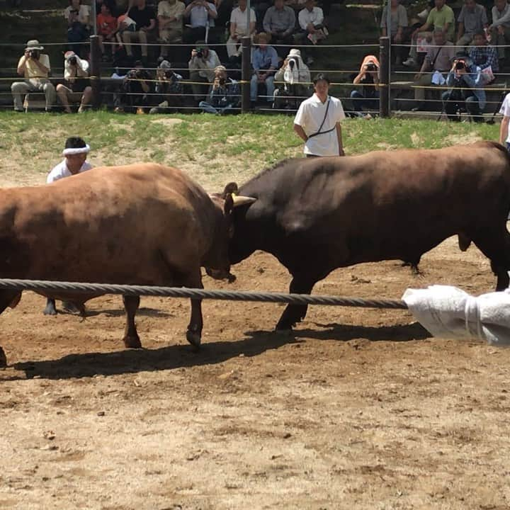 ミノルクリスのインスタグラム