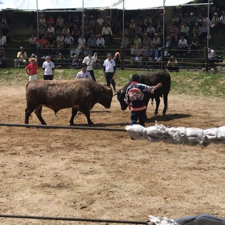 ミノルクリスのインスタグラム