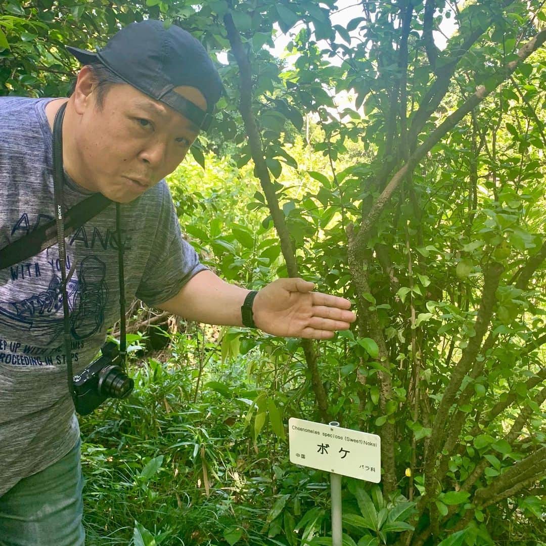 伊集院光のインスタグラム：「つっこみ」