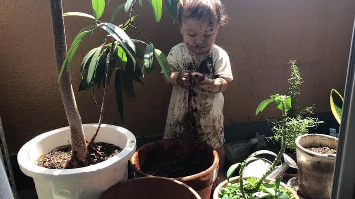 シモネのインスタグラム：「😅🌿☘️🍀🍃🌿🌵🥕🥗🌳👍#GrowGreenProject #jwave」