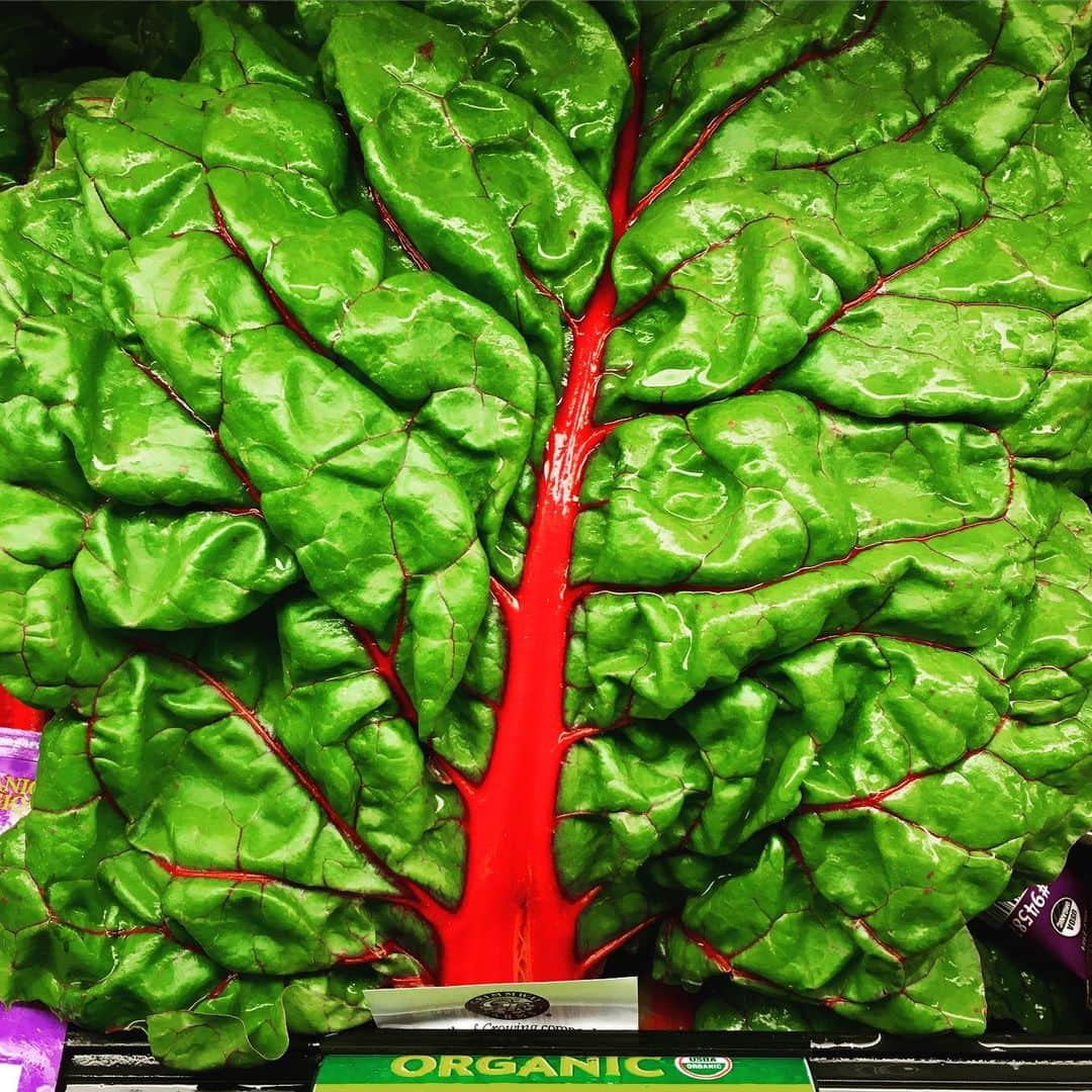 ソーズビー航洋さんのインスタグラム写真 - (ソーズビー航洋Instagram)「すんっごい発色。 お菓子じゃないよ お野菜だよ #madeinsoesbe #portland #oregon」5月26日 15時47分 - cameron.soesbe