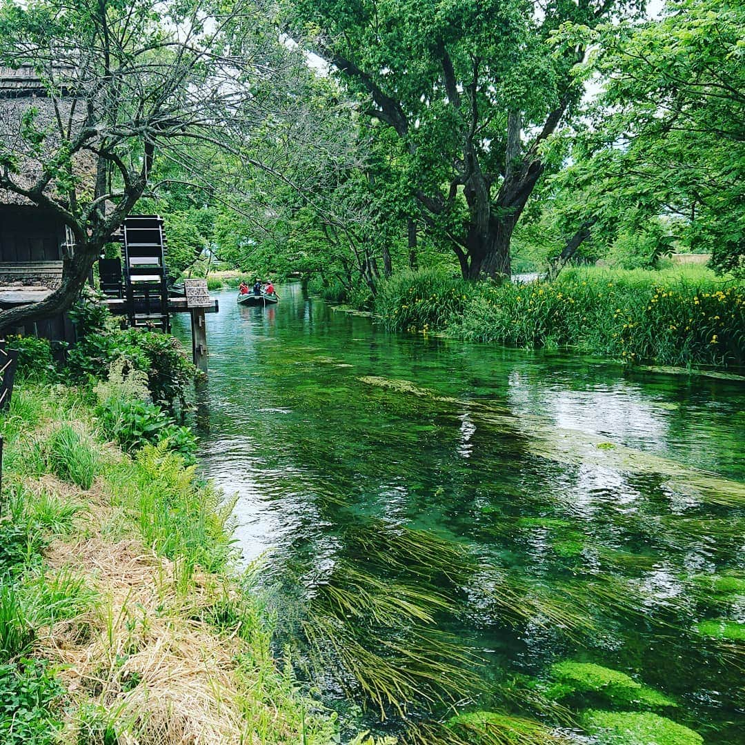 寺坂直毅さんのインスタグラム写真 - (寺坂直毅Instagram)5月27日 2時45分 - aiamu_terasaka