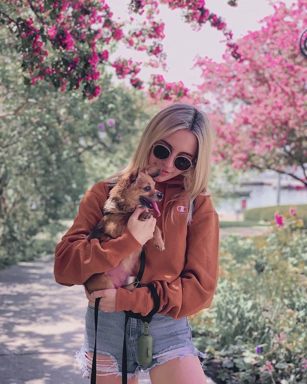 のインスタグラム：「Sunday strolls with the fam 🌸 today’s walk in particular featured iced coffees and vegan peanut butter donuts so I’m in peak Sunday bliss  If you’re in the city go check out @stacktmarket and get a donut from @donutmonsterhamilton 🍩」