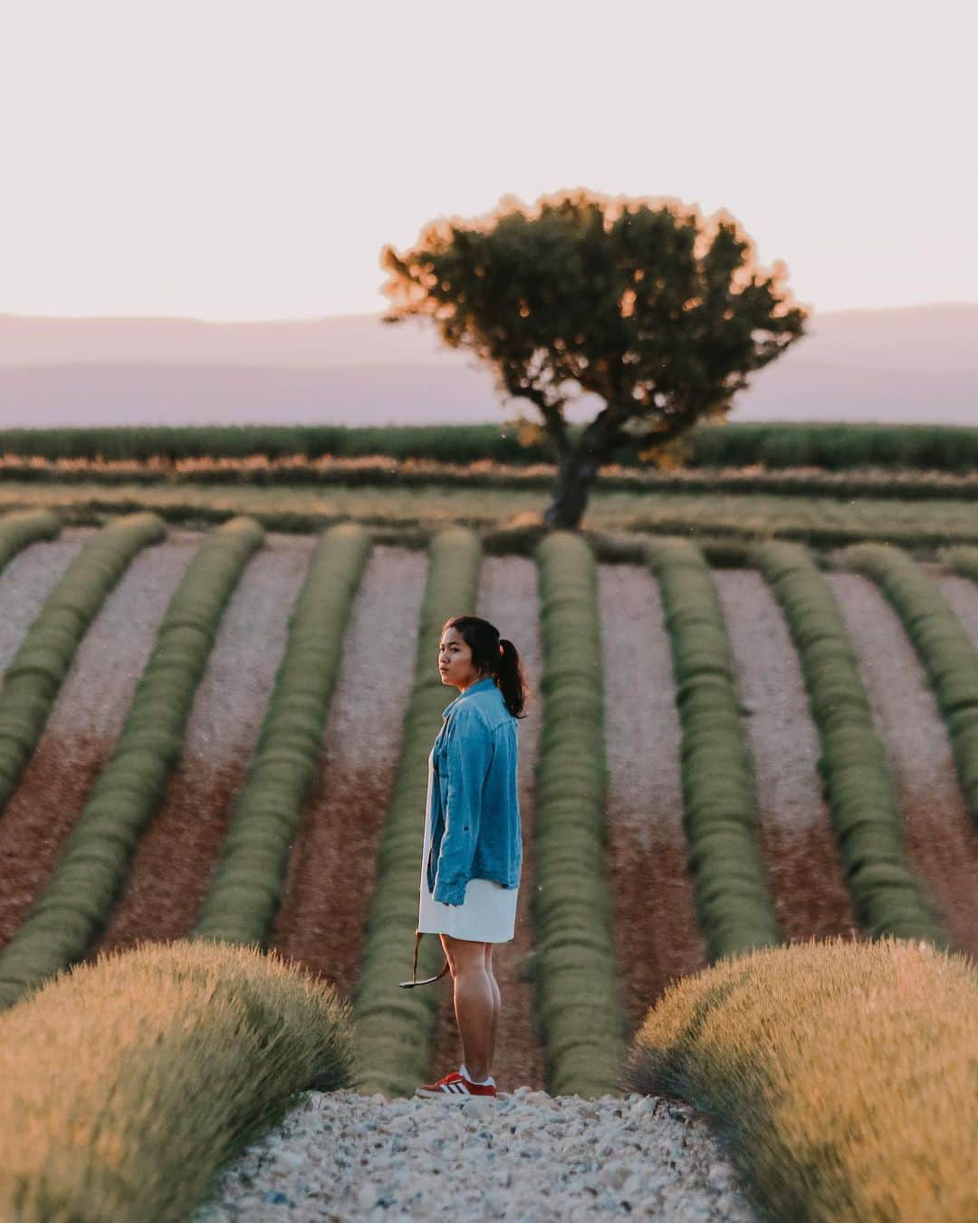のインスタグラム：「Welcoming summer in Provence, France // Any plans for the holiday? Bentar lagi kan libur lebaran nih. Selain hari silaturahmi, tanggal merahnya juga sabi buat jalan-jalan. Entah di kampung halaman, sekitaran kampung halaman, atau bisa juga ke sini nih yang mau nikmatin Lavender fields ketika summer di selatan Prancis ( di foto ini lavendernya belom jadi tapi LOL). . . By the way, kamu juga bisa langsung belanja untuk persiapan mudik dan liburan di Brand of The Week @bliblidotcom dan langsung nikmatin promo ekstra diskon hingga Rp 10 Juta! Cek langsung promonya di blib.li/rezekiramadhan #BlibliSekarang . . Taken by @capra311」