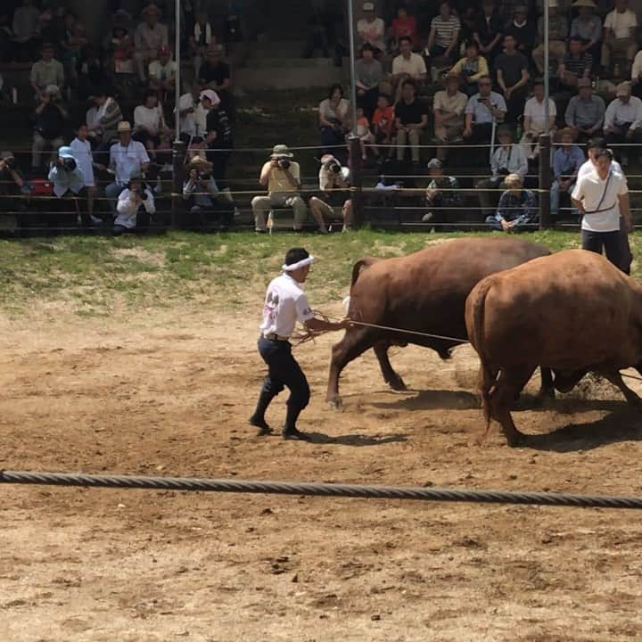 ミノルクリスのインスタグラム