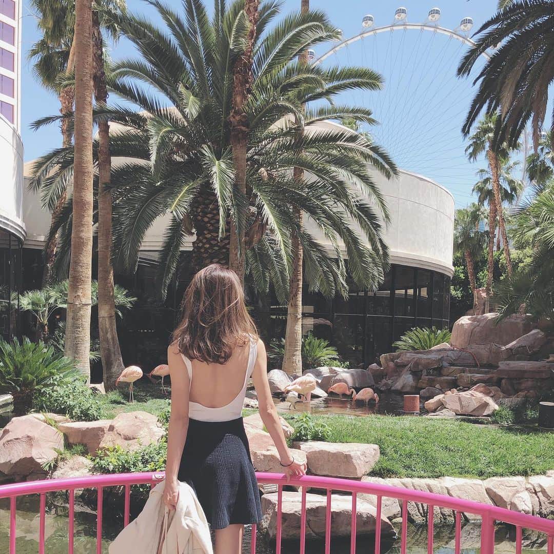 marikoさんのインスタグラム写真 - (marikoInstagram)「▶︎ Flamingo Las Vegas  ストリップの古き良き歴史と 圧倒的な存在感を持つホテルで 入り口から何から何まで 全てが可愛すぎる💜!!! お庭のフラミンゴさんも可愛い💘 フラミンゴさん越しにハイローラー まで見られる抜群のスポット🎡👀🌴 ✴︎ ✴︎ #travel#trip#america#lasvegas#thelinq#アメリカ旅行#ラスベガス#flamingolasvegas#Flamingo#フラミンゴ#観覧車#ハイローラー#highroller#highrollervegas#スカートコーデ#スカート#gap#カジュアルコーデ#24時間あそベガス#シンプルコーデ#シンプルファッション#ラスベガス旅行#カジュアルファッション#ロンハーマン#ronherman#USA#トップス#ungrid」5月26日 20時16分 - mariiko_re