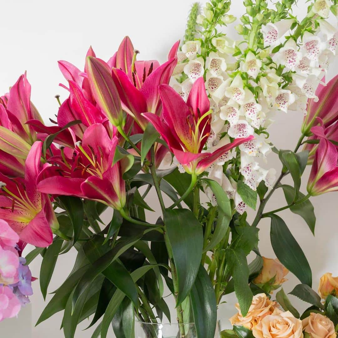 ポールスミスさんのインスタグラム写真 - (ポールスミスInstagram)「Read how Peckham residents @sage.flowers are challenging the conventions of floristry.  Just 👆🏼the link in our bio to read more.  #PaulSmith #floral #Peckham #London」5月26日 21時20分 - paulsmithdesign