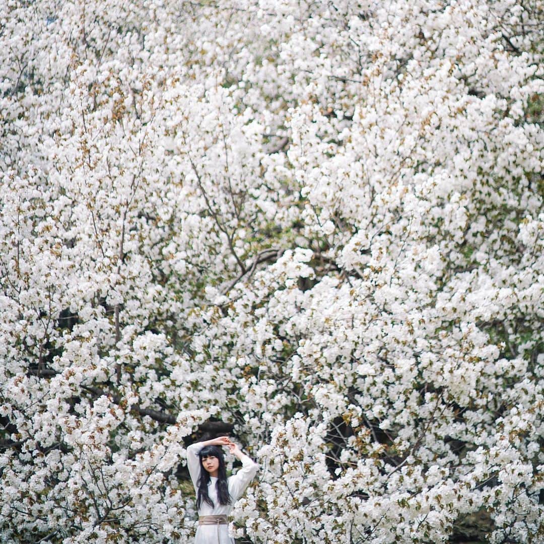 Naokoのインスタグラム：「white* * もうすぐ6月 まだ5月っていうくらい暑いね」