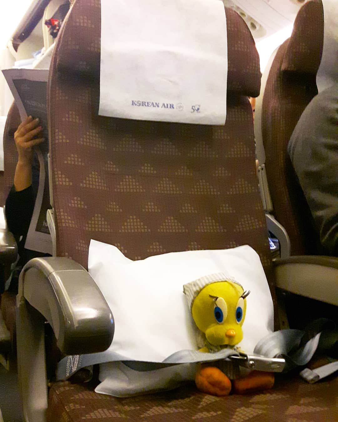 Little Yellow Birdさんのインスタグラム写真 - (Little Yellow BirdInstagram)「I had a good flight home with Korean Air. Long. But good. Now I need to rest my wings a bit.. #littleyellowbird #tweety #tweetykweelapis #adventures #yellow #bird #home #backhome #flying #longflight #travel #traveling #koreanair #holidaysareover #tired #ineedsomesleep #weekend #stuffedanimalsofinstagram #plushiesofinstagram」5月26日 21時52分 - tweetykweelapis