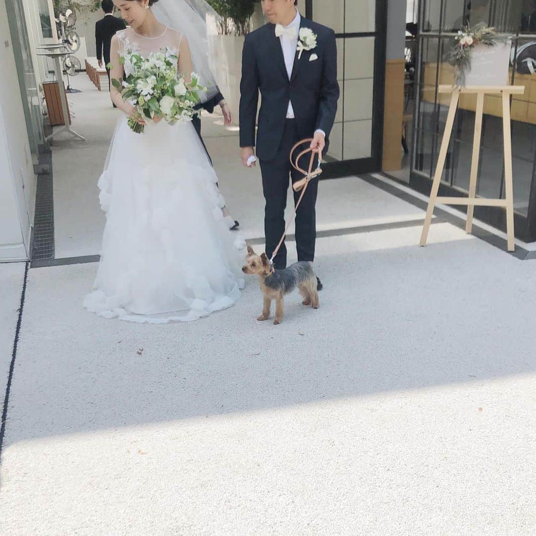 畑田萌のインスタグラム：「このお仕事をしていなかったら知り合うことが無かったであろう人に出会って、人生の節目に携われるという不思議... 至福の時間。スタッフなのに泣く。スタッフなのに犬とずっと遊んでる。ありがとうございました。  明日から上海へ出張ヘアメイクのため、 31日までkultaはお休みいただきます✈️」