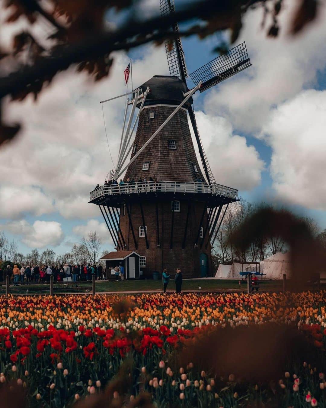 CANON USAさんのインスタグラム写真 - (CANON USAInstagram)「"Heard about this Tulip Festival happening a couple hours away from me, and decided to drive and go see it. I was not disappointed!" #MyCanonStory  Photo Credit: @sammy.gaydos  Camera: #Canon EOS 6D Mark II Lens: EF 50mm f/1.8 II Aperture: f/4.5 ISO: 100 Shutter Speed: 1/2000 sec Focal Length: 50mm  #teamcanon #canonusa #tulipfestival #spring #colorful #travel」5月26日 22時24分 - canonusa