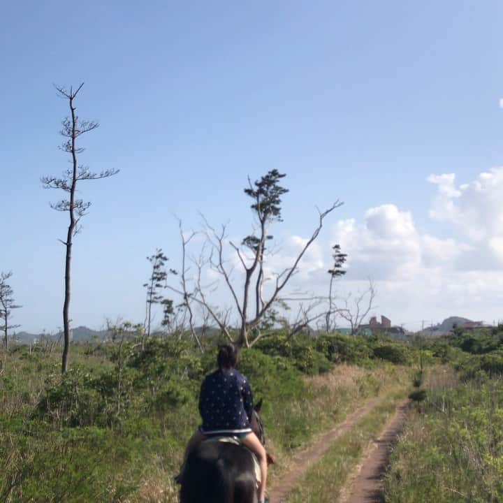 のインスタグラム：「#家族でお出かけ  週末は家族で乗馬体験をしました🐎  今月は帰りも遅くて朝も夜もろくに食事も一緒にできず😭 だから休みの時くらい何か経験をさせたいなって思うんだ！  都心で乗馬体験もできると思うけど、今回は千葉で乗馬体験をしてきたよ！  子供達が体験をする時にみせる嬉しいそうな顔が、また仕事を頑張らなきゃなって思う！  母ちゃん頑張りますっ💪🏼✨✨ #乗馬体験#千葉県#子供とお出かけ#休日#自然#馬#小学生#中学生#中学生ママ#シングルマザー#働くママ」