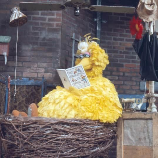 セサミストリートさんのインスタグラム写真 - (セサミストリートInstagram)「Nothing much, just chilling. You? • • • #SesameStreet #BigBird #BirdsOfInstagram #Reading #BooksOfInstagram #bookstagram #kids #Parents #parenting #ParentingMemes」5月26日 22時46分 - sesamestreet