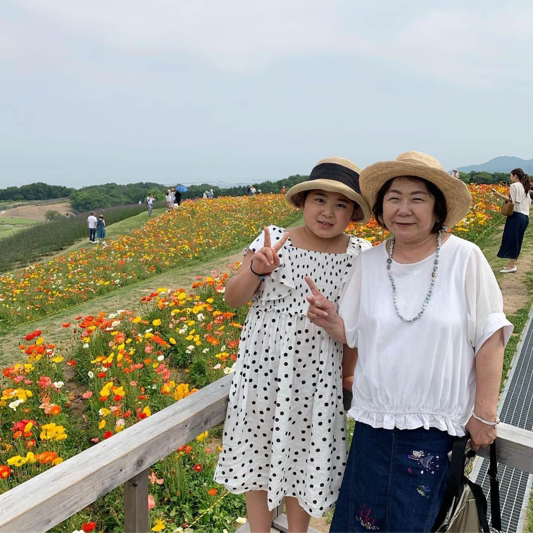 河島あみるさんのインスタグラム写真 - (河島あみるInstagram)「うみぞら映画祭の帰り道🚙 あわじ花さじきに ポピーを見にいきました🌼 天空の小径ですってー😄 画塾に通う くうは 絵の題材に たくさん写真を撮ってました📷 つきは 寝起きで珍しく無表情です😟 #あわじ花さじき  #天空 #花畑 #ポピー #淡路島旅行  #淡路島」5月26日 22時56分 - amiru_kawashima